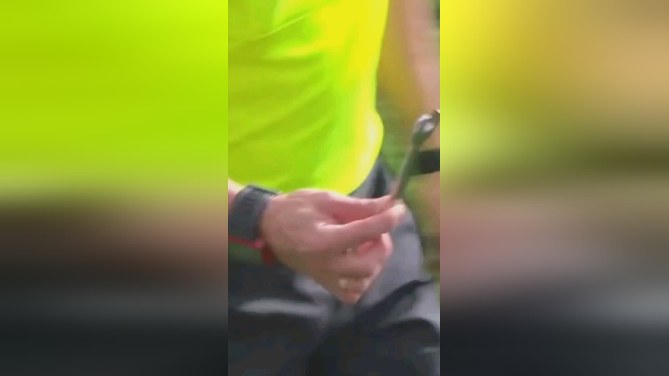 更为辉
